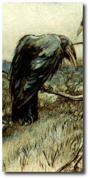Grey down caught in the bristles around the raven’s beak, rolled along the ground, drifted gently in the air. I’d never seen a raven hunting before, and I watched, fascinated. Artwork by . This image, The Twa Corbies, is in the public domain in the U.S. More details at .