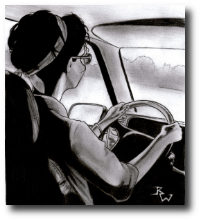 The unspoken rule in Dani-Girl’s Guide:  Artwork (c) 2008, R.W. Ware