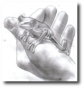 If this was  final examination, I have to admit I failed. I did nothing but watch, paralyzed, stricken, more estranged than ever. Artwork © 2008, R.W. Ware