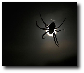  Artwork : This photo was taken by  and is used through the .