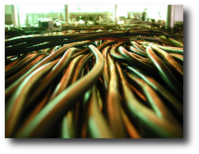 My sister Chiru is brilliant, and speaks to computers. I mean this literally; she is a technopath. Artwork : Image by and used under a .