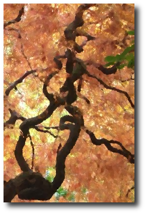 Already her roots dug into the ground around her.Natasha ran up, nearly slipping on the slick moss. “Mommy, Grandpa is blooming! I picked you flowers.” Artwork : Photo by the author, © 2010. Distorted by Flash Fiction Online. Clicking on the image will show you the original; more of her photos can be seen on her .