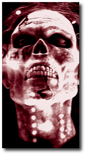 Wonder of wonders, there stood Chuck! Pungent, no meat on his thighs, left eye hanging out, but Chuck nevertheless. Artwork courtesy of on flickr, used under the Creative Commons Attribution license.