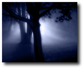 But he doesn’t see me. I wave my arms. Cry out and burble frog slime out my throat. The old lamp clanks in my hand. Dead. If only — no wait, there it goes. Artwork by on Flickr and used under a license.