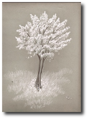 “Oh, look,” said Pete after too long. “Cherry blossoms. those.” Artwork © 2012, R.W. Ware