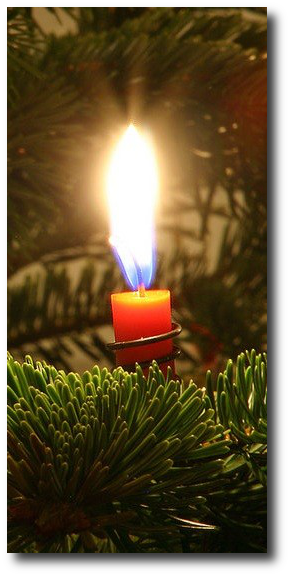 Yes, I see! I see! O mother, it is so beautiful! Were all the trees on all the hills lighted up that way when Christ was born? Artwork : This photo by comes to us via and is used under the .