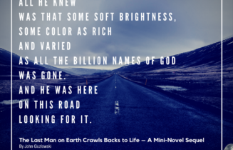 Quote from John Guzlowki's flash fiction mini-novel