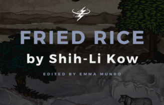 Fried Rice by Shih-Li Kow