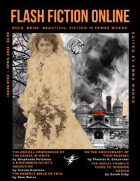 FlashFictionOnlineApril2022Cover