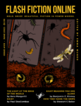FlashFictionOnlineJune2022Cover