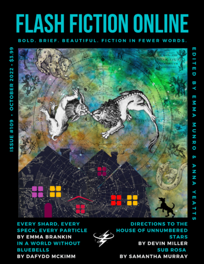 FlashFictionOnlineOctober2022Cover