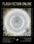 FlashFictionOnlineDecember2022Cover