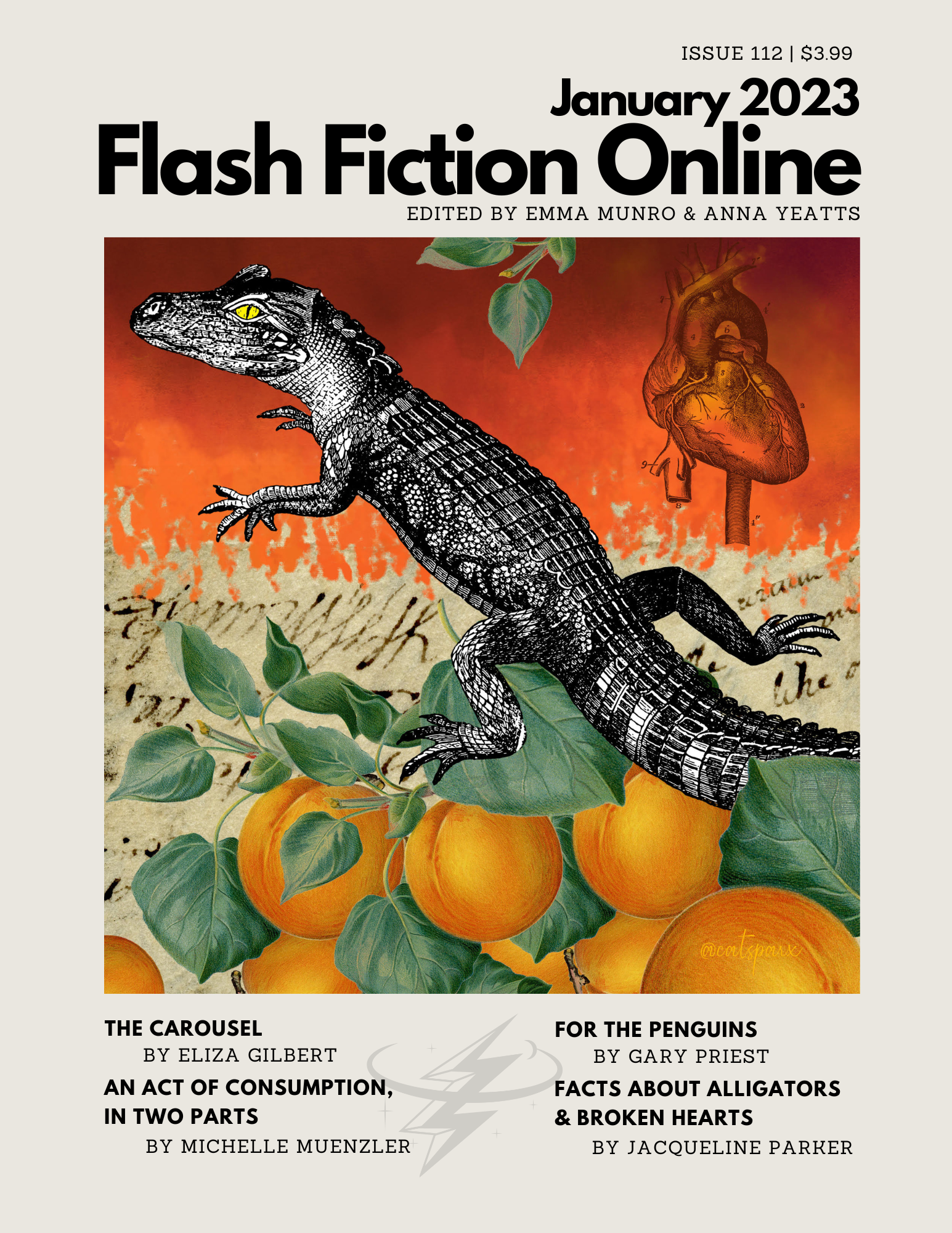 Flash Fiction Online January 2023 Flash Fiction Online