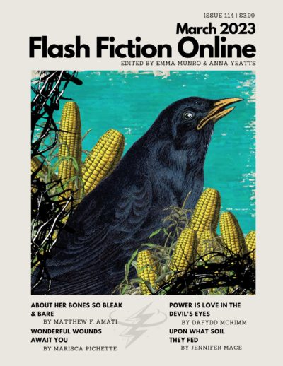 FlashFictionOnlineMarch2023Cover