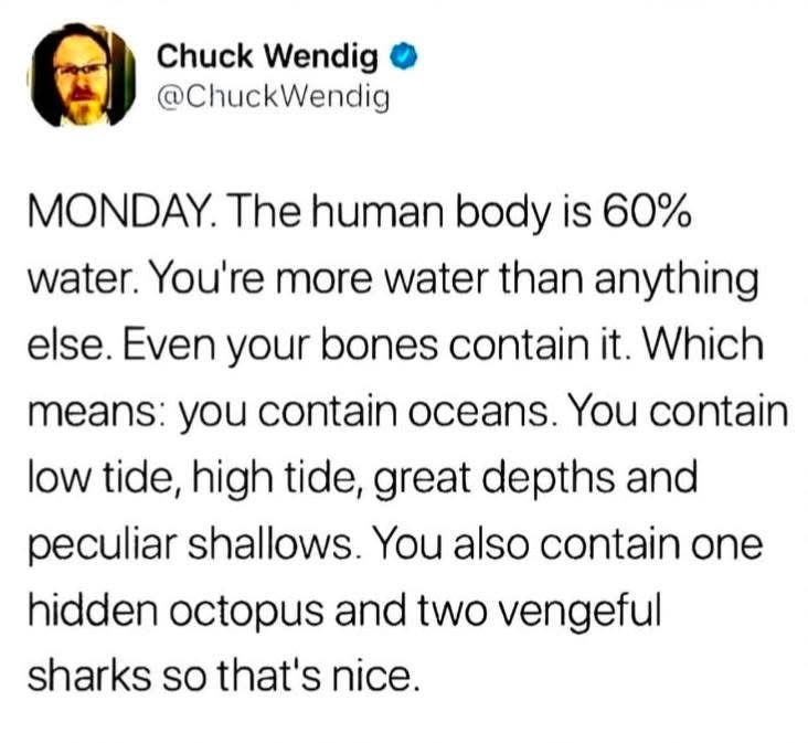 Editorial: The Collection